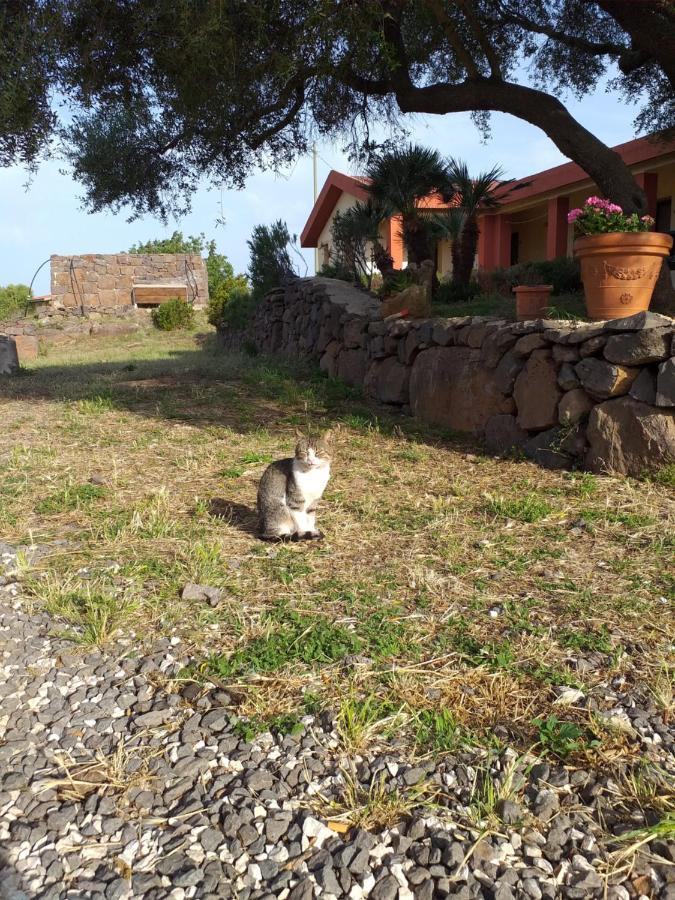 Agriturismo Conca' E Janas 多尔加利 外观 照片
