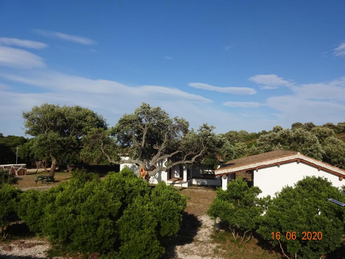 Agriturismo Conca' E Janas 多尔加利 外观 照片