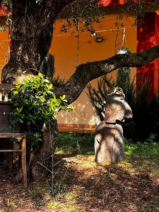 Agriturismo Conca' E Janas 多尔加利 外观 照片
