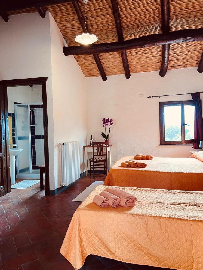 Agriturismo Conca' E Janas 多尔加利 外观 照片