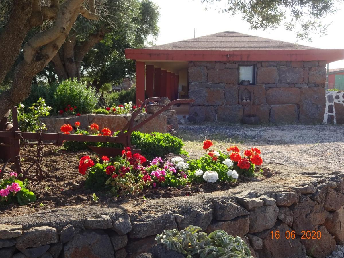 Agriturismo Conca' E Janas 多尔加利 外观 照片