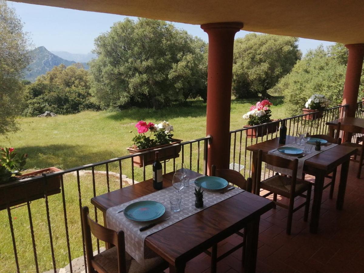 Agriturismo Conca' E Janas 多尔加利 外观 照片