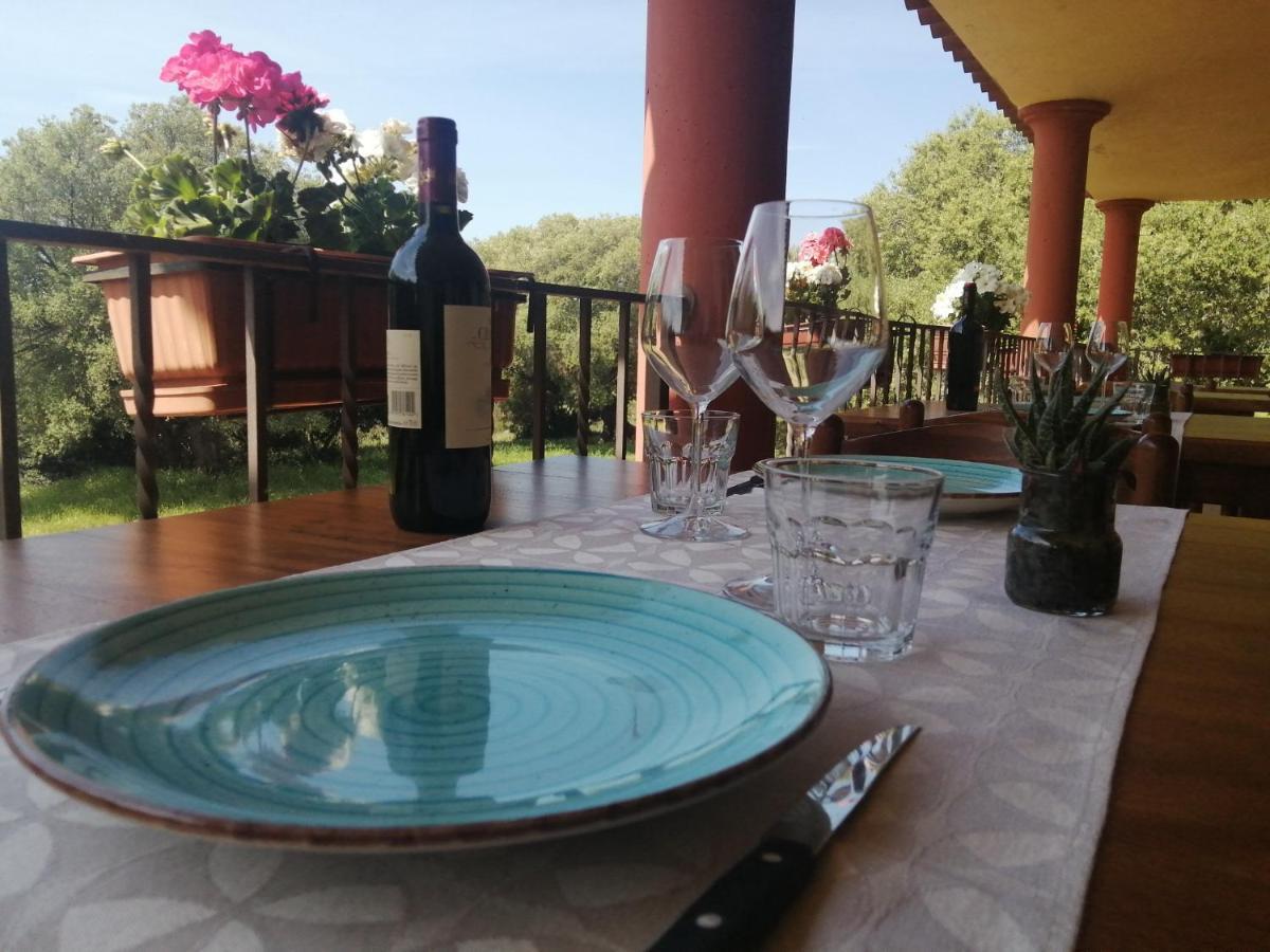 Agriturismo Conca' E Janas 多尔加利 外观 照片