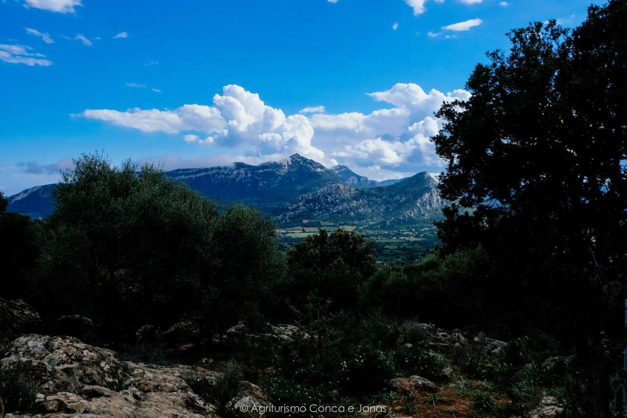Agriturismo Conca' E Janas 多尔加利 外观 照片